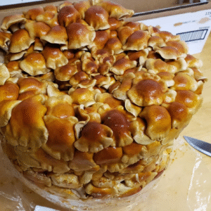 Granos colonizados de Pholiota Maneko